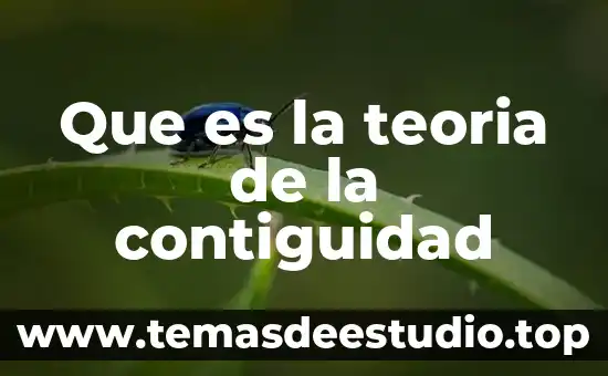 Que es la teoria general del conocimiento 7 Que es la teoria de la contiguidad