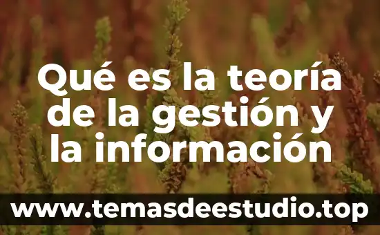 Qué es la teoría de la gestión y la información
