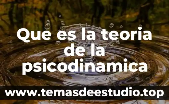 Qué es una teoría mapa conceptual 3 Que es la teoria de la psicodinamica