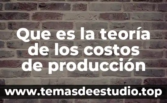 Que es la teoría de los costos de producción
