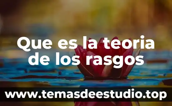 Que es contexto social de una historia 8 Que es la teoria de los rasgos