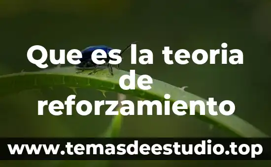 Que es la teoria de reforzamiento