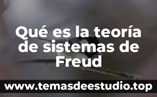 Qué es la teoría de sistemas de Freud
