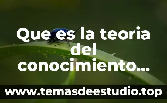 Que es la teoria del conocimiento origen y esencia