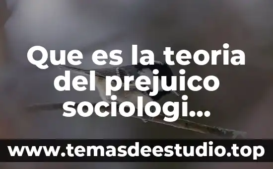 Que es la teoria del prejuico sociologi divertida