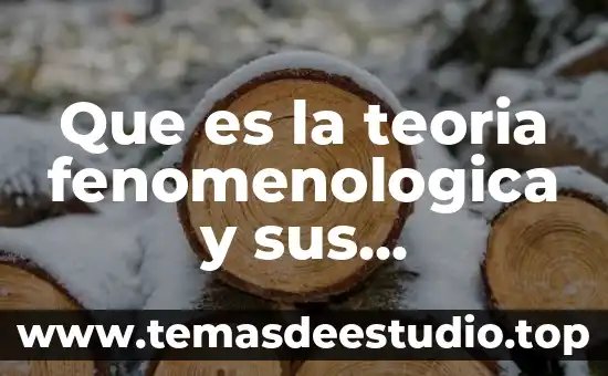Que es la teoria fenomenologica y sus caracteristicas