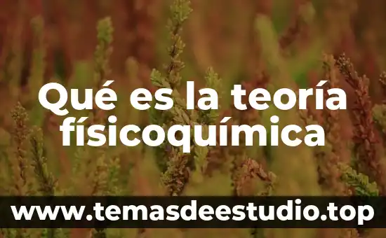 Qué es la teoría físicoquímica