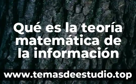Que es una institucion que otorga informacion 8 Qué es la teoría matemática de la información