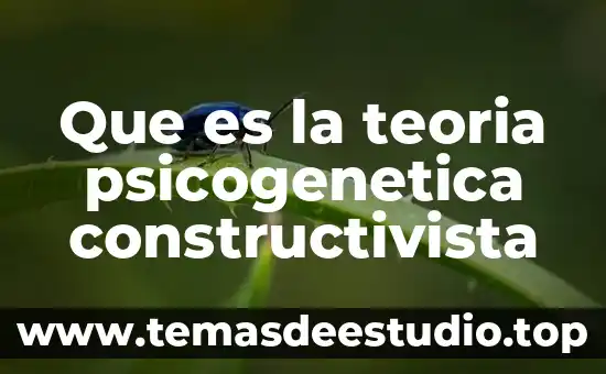 Que es el modelo constructivista en educacion 6 Que es la teoria psicogenetica constructivista
