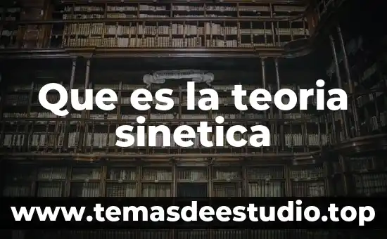 Que es la teoria en experiencia 6 Que es la teoria sinetica