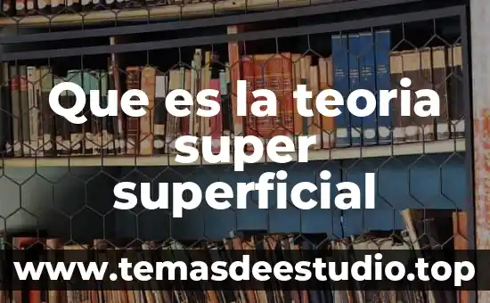 Ensayo sobre qué es la teoría de la mente 4 Que es la teoria super superficial