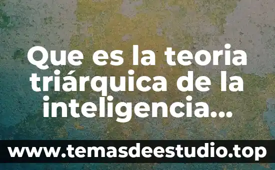 Que es mas importante la inteligencia o el sentido comun 6 Que es la teoria triárquica de la inteligencia ejemplos