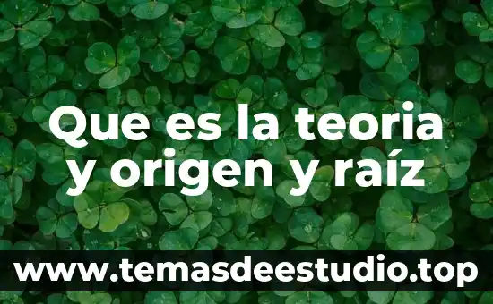 Que es la teoria y origen y raíz