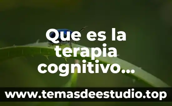 Contrato carta poder sencilla que es 4 Que es la terapia cognitivo conductual de forma sencilla