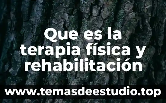 Que es la terapia física y rehabilitación