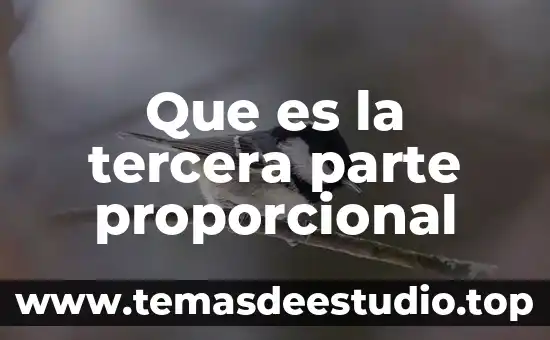 Qué es la parte mundana del signo geminis 6 Que es la tercera parte proporcional