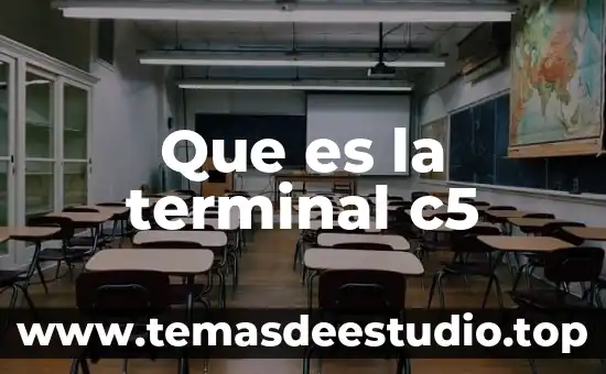 Qué es la moda en aritmética 5 Que es la terminal c5