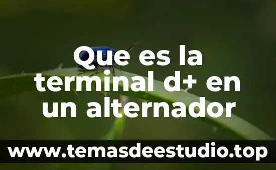 Qué es un símbolo terminal y no terminal 6 Que es la terminal d+ en un alternador