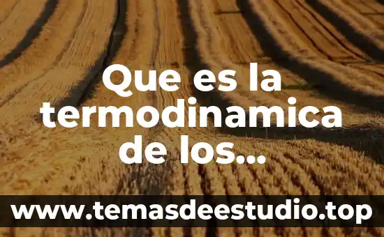Que es la termodinamica de los organismos