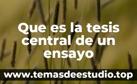 Que es la tesis central de un ensayo
