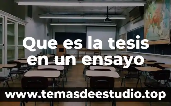 Que es un ensayo de un museo de antropologia 7 Que es la tesis en un ensayo