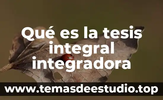 Qué es la implementación integral 8 Qué es la tesis integral integradora