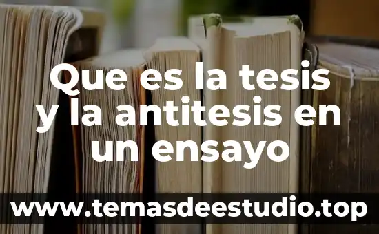 Queesuna sintesisi y que es un ensayo 5 Que es la tesis y la antitesis en un ensayo