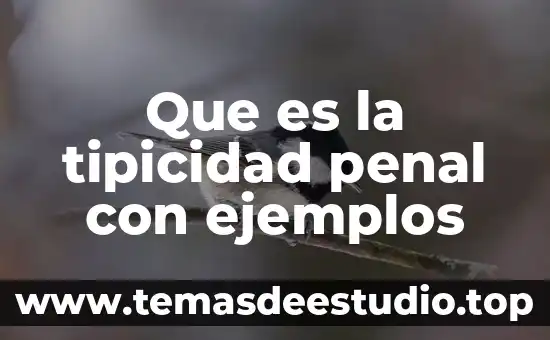Que es la tipicidad penal con ejemplos
