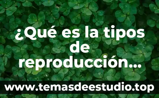 Que es la reproduccion animal significado 3 ¿Qué es la tipos de reproducción celular?