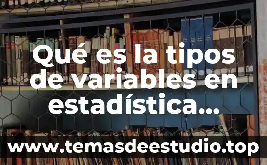Que es concepto legal de empresa yahoo 8 Qué es la tipos de variables en estadística Yahoo
