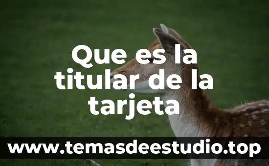 Que es el nombre de una tarjeta 4 Que es la titular de la tarjeta