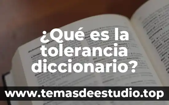 Es sol que es 8 ¿Qué es la tolerancia diccionario?