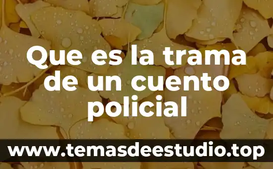 Qué es el perímetro o el área de una figura 3 Que es la trama de un cuento policial