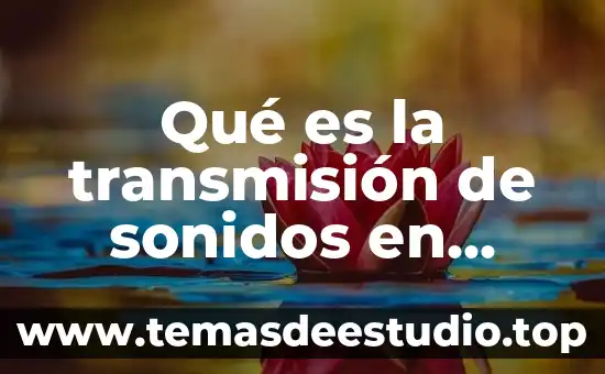 Qué es la transmisión de sonidos en sólidos