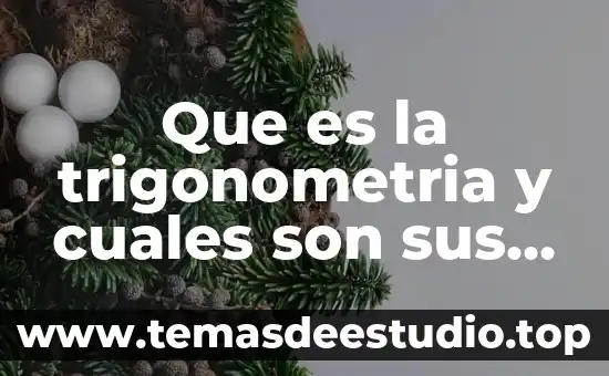 Que es la trigonometria y cuales son sus funciones