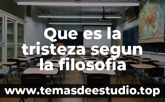 Que es la cultura del trabajo segun freud 8 Que es la tristeza segun la filosofia