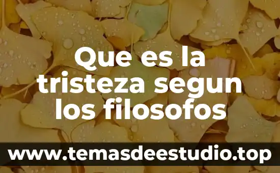 Qué es el conocimiento para los filosofos modernos 5 Que es la tristeza segun los filosofos