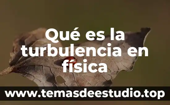 Qué es una sonda en física 3 Qué es la turbulencia en física