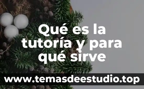 Hwmonitor que es y para que sirve 4 Qué es la tutoría y para qué sirve