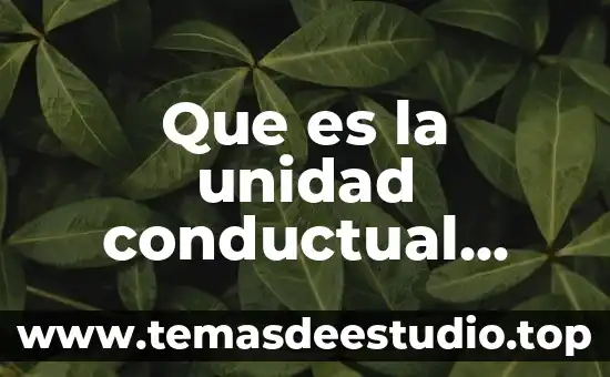 Que es el anagrama psicologia 8 Que es la unidad conductual morfologica en psicologia