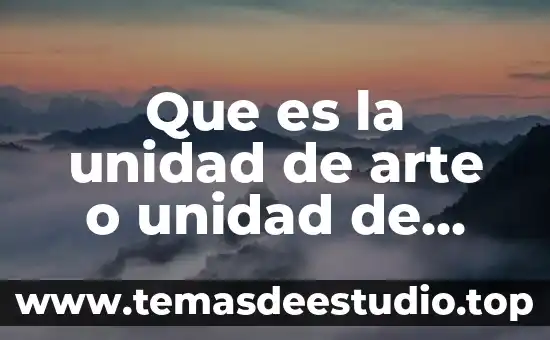 Acociles que es 5 Que es la unidad de arte o unidad de invención