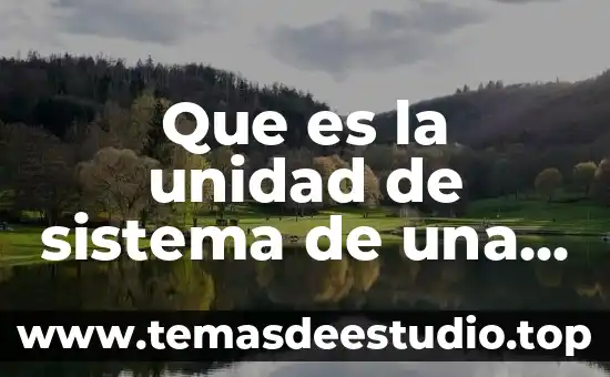 Que es unidad valores 5 Que es la unidad de sistema de una computadora