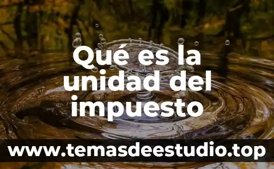 Qué es la unidad del impuesto