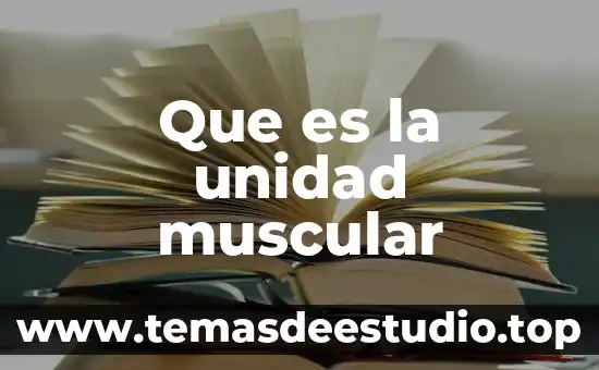 Definición de autores de lo que es resistencia muscular 5 Que es la unidad muscular