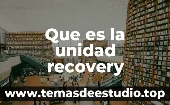 Que es el arte conceptua 4 Que es la unidad recovery