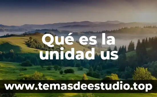 Qué es la unidad us
