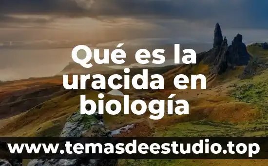 Trabajo de campo en biología que es 6 Qué es la uracida en biología