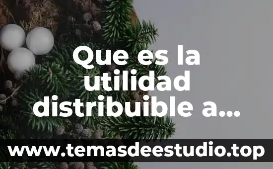 Teoria de la utilidad que es 3 Que es la utilidad distribuible a favor de accionistas
