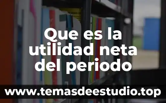 Que es la utilidad neta del periodo