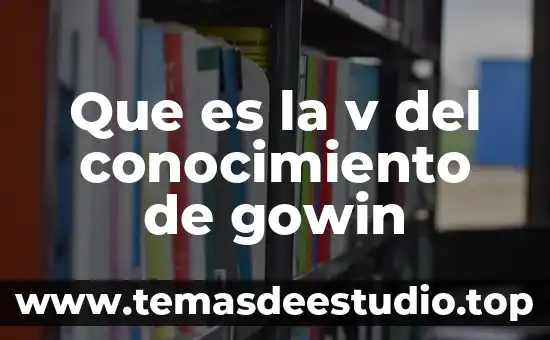 Qué es conocimiento para Erik Erikson 5 Que es la v del conocimiento de gowin